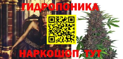 крисы Бузулук