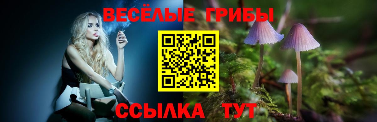 Псилоцибиновые грибы мицелий  Вход с VPN  Липецк 
